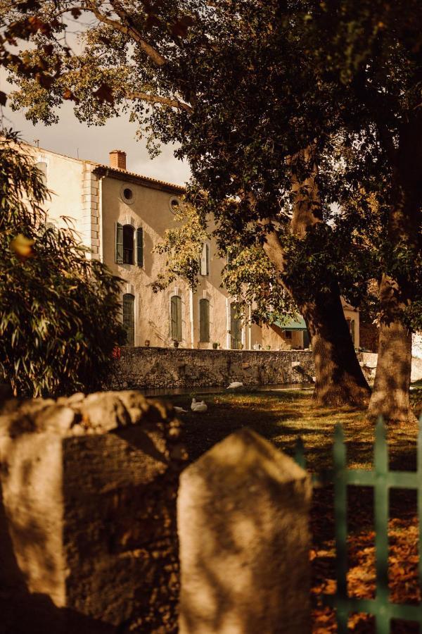 Gîte Superbe L'Ecurie XIXème Sallèles-dʼAude Exterior foto